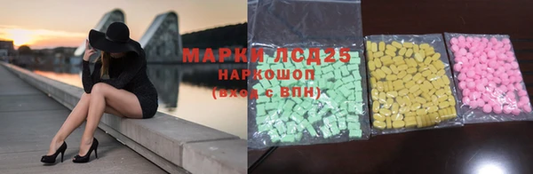 прущие грибы Анжеро-Судженск