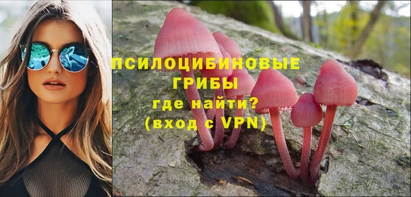 круглые Алапаевск