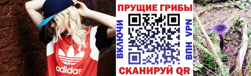Галлюциногенные грибы Psilocybine cubensis  Белый 